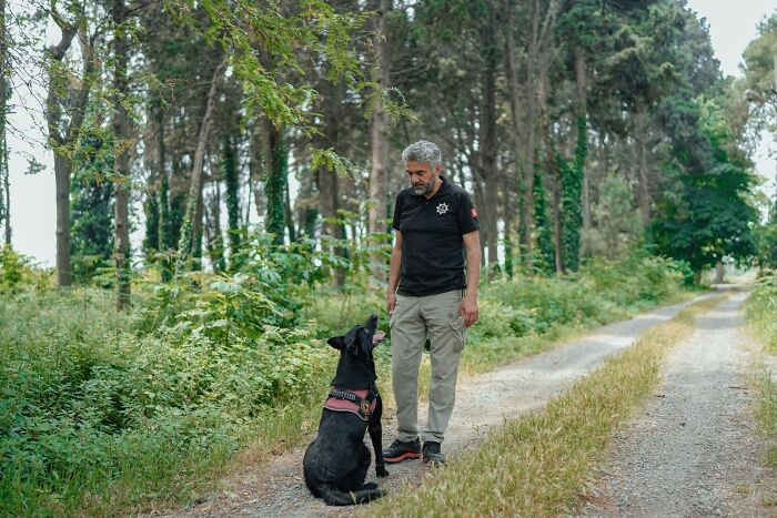 Man walking a black dog on a rural path surrounded by trees, highlighting challenges of having dogs as pets.