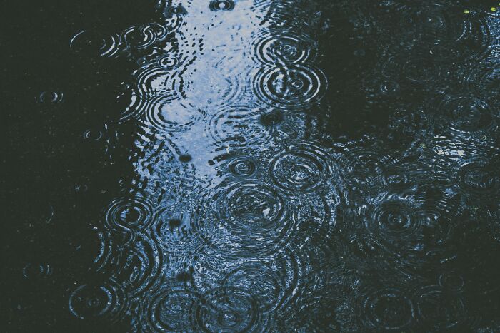 Raindrops creating ripple patterns on dark water surface, illustrating themes of disturbing facts shared by people.