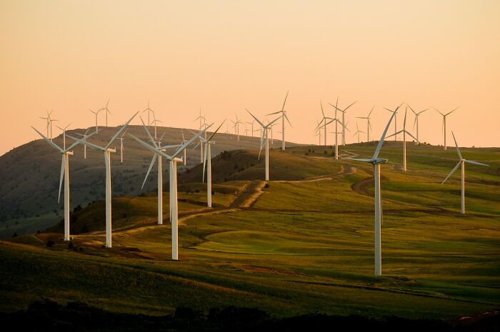 Wind turbines on green hills at sunset representing good news in renewable energy progress and sustainability efforts.