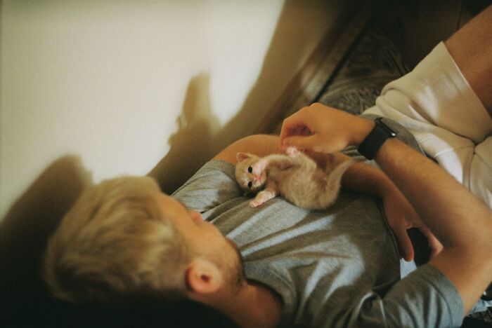 Man feeding a small kitten while lying down, showing gentle care and affection in a cozy setting.