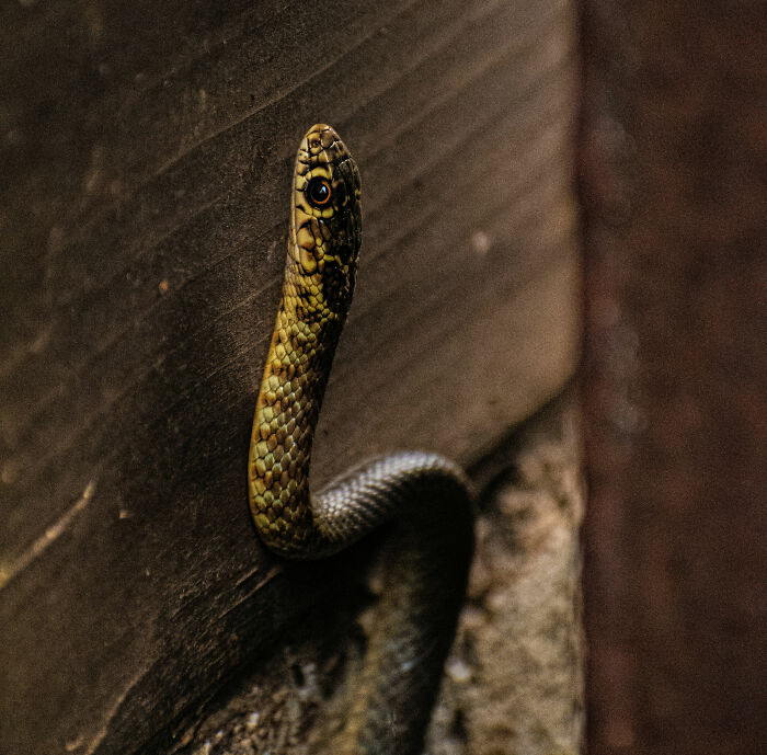 36 Workers Reveal The Strangest Excuses People Have Given To Call Off Work