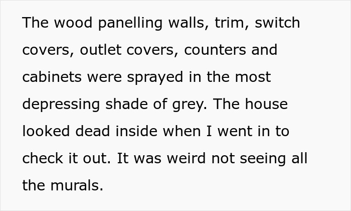 Interior of a cool house with grey wood paneling and cabinets, showing a surprising contrast to the usual colorful murals.