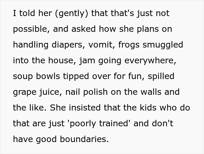 Text excerpt from a conversation highlighting challenges of managing toddler messes and differing parenting views on cleanliness.