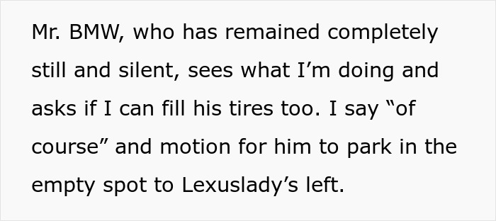 Text excerpt describing a lady in a brand new Lexus skipping the air pump line and ending up trapped between curbs and petty justice. - 14