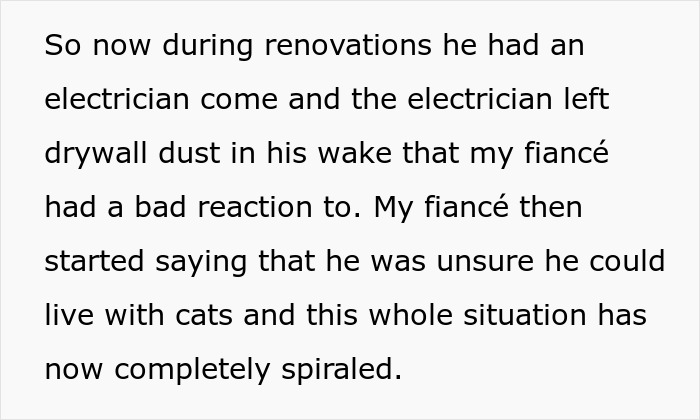 Fianc&eacute;e Left Shocked After Guy Demands Her 4 Senior Cats Be Rehomed Before Wedding