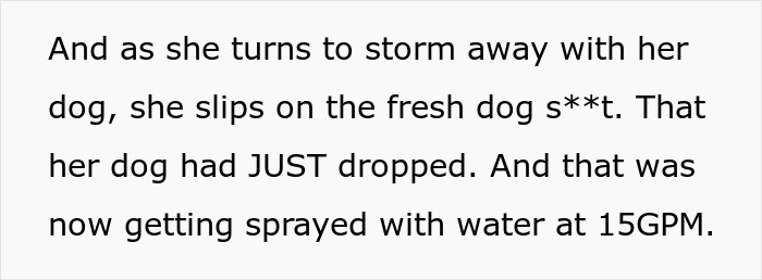 Text excerpt showing petty revenge involving an entitled dog owner slipping on fresh dog waste while being sprayed with water.