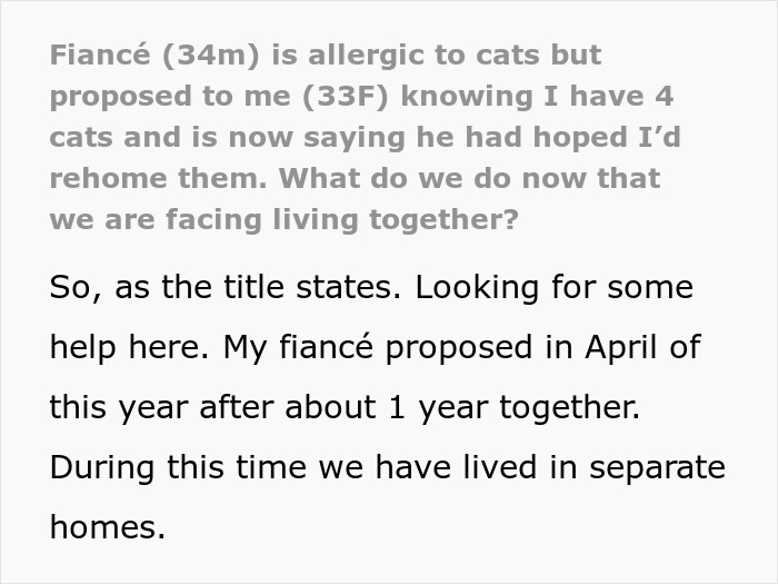 Fianc&eacute;e Left Shocked After Guy Demands Her 4 Senior Cats Be Rehomed Before Wedding