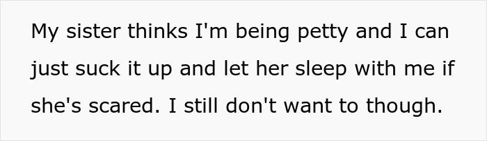 Text on a white background reads about a sister calling her sibling petty after a teen removes ladder from bunk bed to block niece.