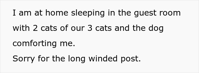 Text displaying someone explaining they are at home resting with pets while apologizing for a long-winded post about surgery details.