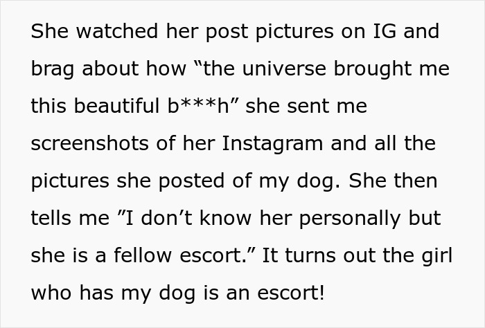 Woman shamelessly steals husky while owner’s revenge clearly shows she messed with the wrong dog. - 9