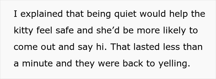Text from a woman explaining how being quiet helps a kitty feel safe, contrasted with kids yelling loudly nearby. - 12