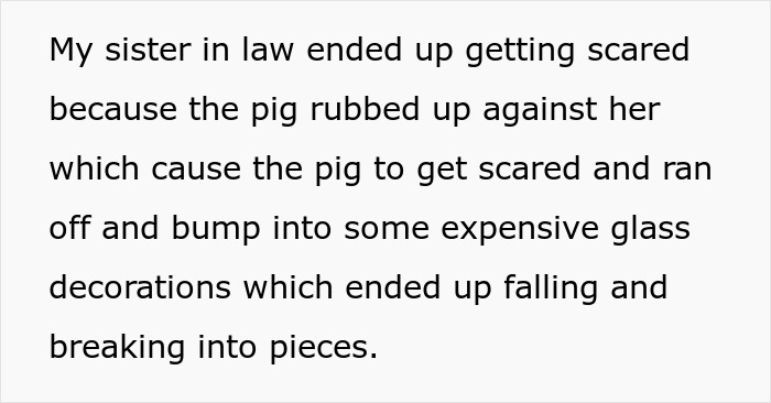 Pet pig causes chaos at wedding by bumping guests and breaking expensive glass decorations.