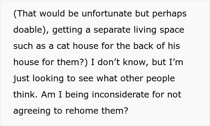 Fianc&eacute;e Left Shocked After Guy Demands Her 4 Senior Cats Be Rehomed Before Wedding