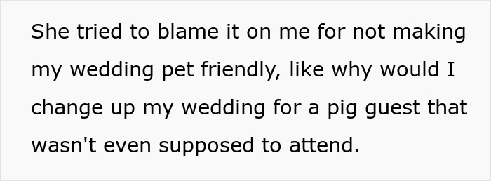Mother embarrassed at wedding as her pet pig causes chaos in front of guests during daughter's ceremony.