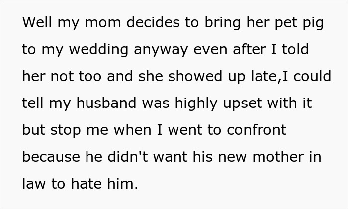 Mother humiliated at wedding as her pet pig causes chaos in front of guests, ruining daughter's special day.