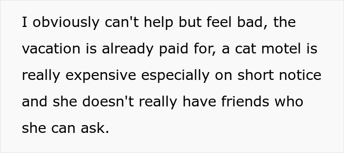 Text discussing a woman planning family vacation while roommate refuses to take on cat litter box duties.