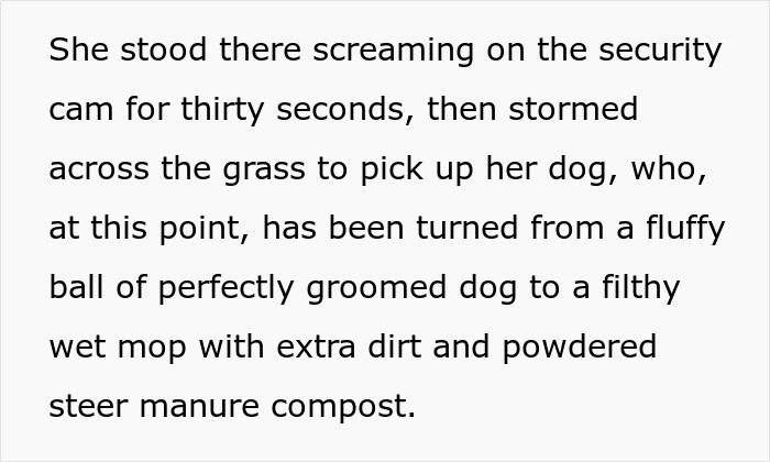 Man&rsquo;s petty revenge on entitled dog owner caught on security cam after dog is covered in dirt and manure.