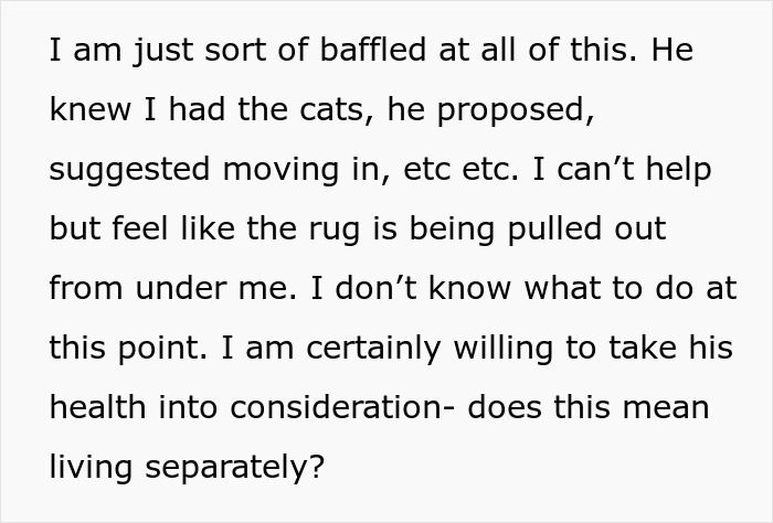 Fianc&eacute;e Left Shocked After Guy Demands Her 4 Senior Cats Be Rehomed Before Wedding
