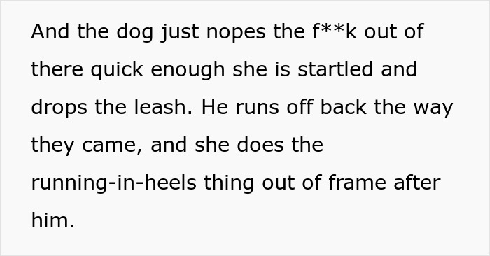 Text describing a man&rsquo;s petty revenge on an entitled dog owner as the startled dog runs off quickly.