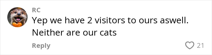 Comment from customer after handyman installs new cat flap, mentioning unexpected visitors that are not their cats.