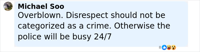 Comment by Michael Soo expressing opinion that disrespect should not be a crime related to man arrested for lighting cigarette on tomb