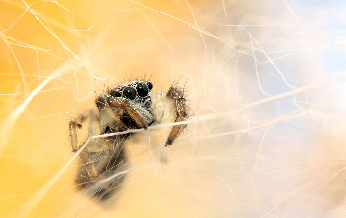 45 Facts That Your Intuition Might Say Are Fake But They’re Actually True