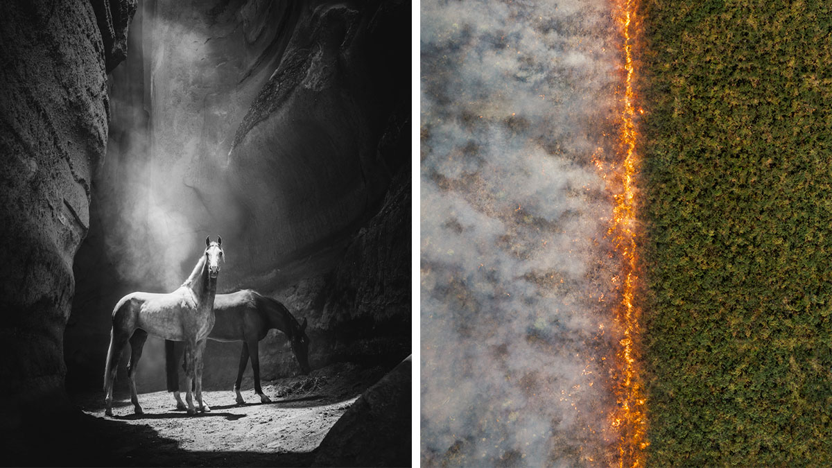 boredpanda.com - Hidrėlėy - The 2025 International Photography Awards Showcased The World At Its Most Beautiful And Bizarre (74 Pics)