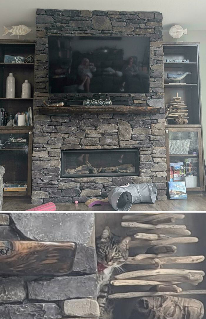Tabby cat camouflaged against stone fireplace, perfectly matching surroundings in a home interior with bookshelves and decor.