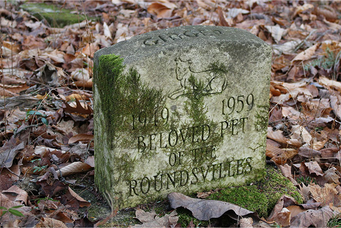 Weathered stone pet grave marker covered with moss in a forest setting, illustrating profitable pet care industries today.