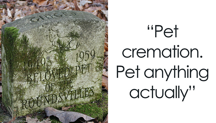 38 People Share The Jobs That Are Growing Faster Than Most Realize