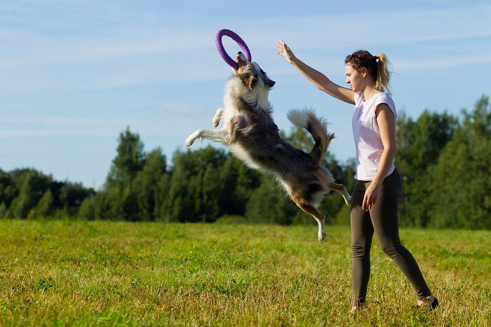 Woman playing frisbee with her dog outdoors, illustrating unique words that don’t exist in English but are used in other languages