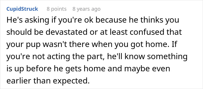 Comment discussing suspicion and emotional reactions related to boyfriend trying to stealthily euthanize girlfriend&rsquo;s dog.