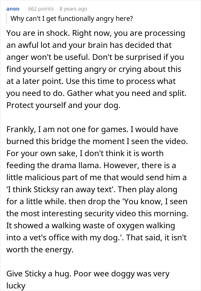Screenshot of a Reddit comment advising on protecting a dog after a boyfriend&rsquo;s stealthy euthanizing attempt controversy.