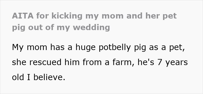 Mother humiliated as her pet pig disrupts daughter's wedding, causing chaos in front of guests during the ceremony.