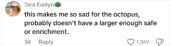 Comment expressing sadness for the octopus, suggesting it lacks a safe or enriching environment after viral incident.
