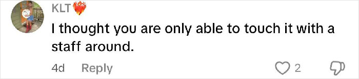 Comment stating belief that the octopus can only be touched with a staff, related to mom and 6YO boy octopus attack incident.