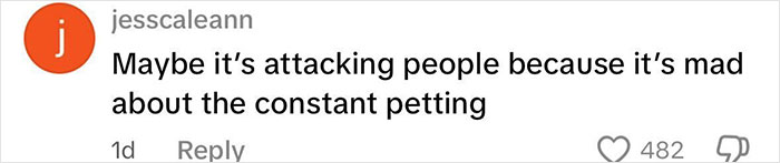 Screenshot of social media comment discussing an octopus attack related to a 6-year-old boy incident.