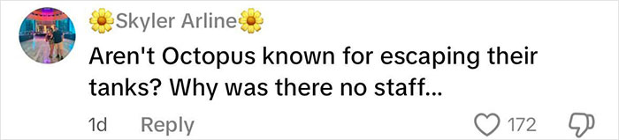 Comment asking why no staff was present as octopus escapes tank, related to mom of 6YO boy attacked by octopus controversy.