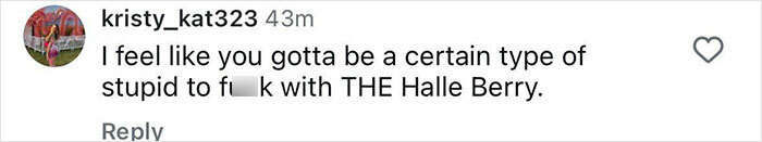 Screenshot of a social media comment troll joking about Halle Berry&rsquo;s ex-husband and cooking and cleaning claims.