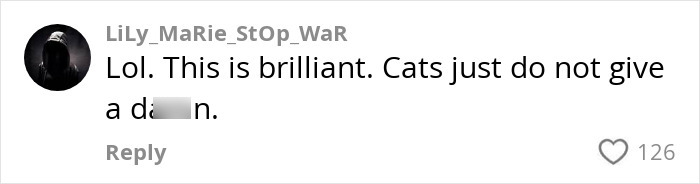 Social media comment on handyman installs new cat flap with user expressing amusement about cats' indifferent behavior.