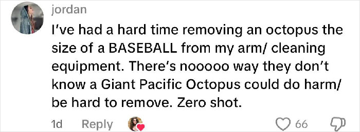 Comment from a user describing difficulty removing a giant Pacific octopus, relating to mom of 6YO boy attacked by octopus.