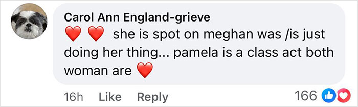 Comment on social media supporting Pamela Anderson amid Meghan Markle cooking show accusations. - 22