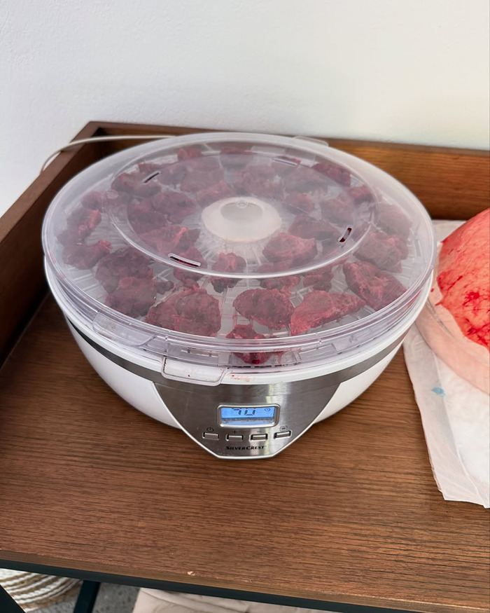 Dehydrator with pieces of placenta inside, showing part of the encapsulation process in birth announcement. - 5
