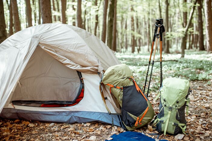 Camping tent and backpacks set up in the woods, representing stories of people who couldn’t sleep after time in nature. - 8
