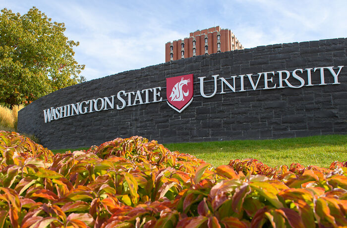 Washington State University campus with autumn foliage, related to chilling warning professor made about Bryan Kohberger behavior.