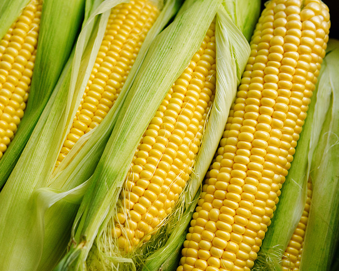 Experts Break Down Why Coke&rsquo;s Cane Sugar Swap Won&rsquo;t Make Consumers Healthier