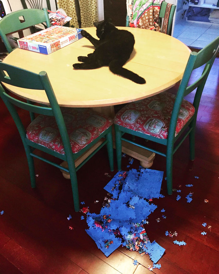 Black cat lying on dining table with scattered puzzle pieces on floor, showcasing chaotic pets being a menace at home.