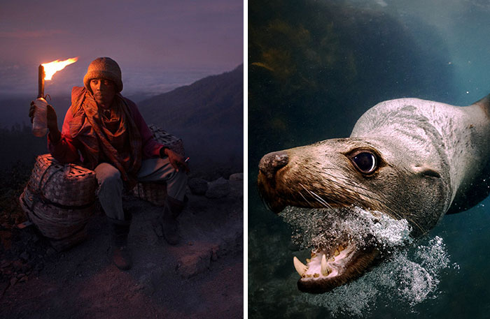 The 2025 Refocus Awards Just Revealed The Best Color Photography, And It’s Breathtaking (50 Pics)