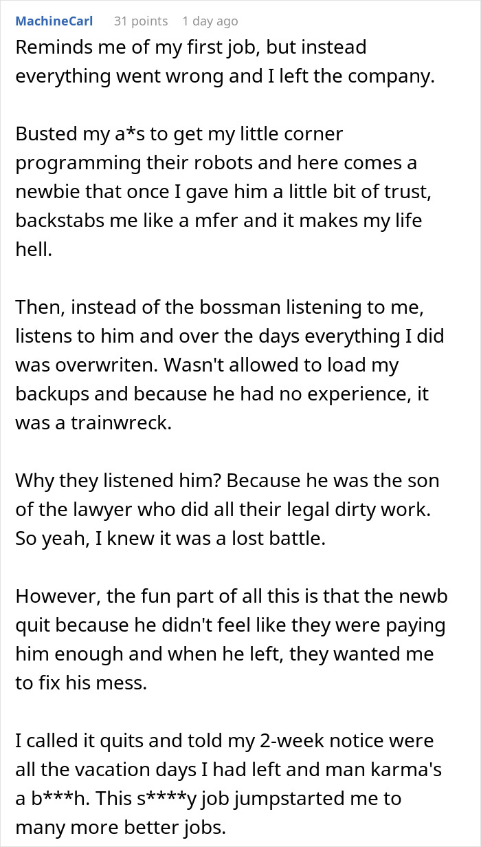 Comment about toxic newbie spreading lies and causing workplace drama leading to HR involvement and job frustration.