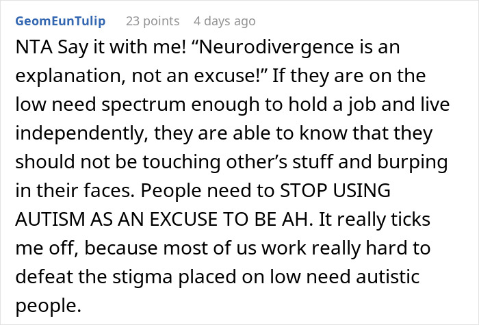 Comment discussing neurodivergence and autism stigma in relation to behavior and responsibility in social settings.